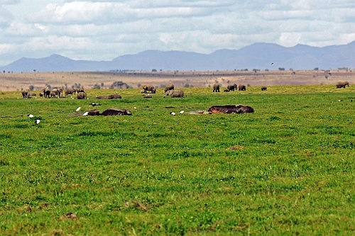 Kenia (256)
